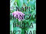 133672_45007_n_1