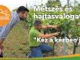 A szőlő "következő" metszését a hajtásválogatás határozza meg | MMG - Metszés