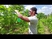 133678_97601_s_1