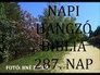 133727_24595_n_1