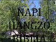 NAPI HANGZÓ BIBLIA 288. NAP 10.15. JEREMIÁST ELFOGJÁK