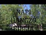 133730_56327_n_1