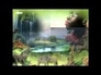 107272_97763_n_1