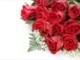 Igor Krutoy - Roses for you