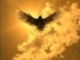 Athaira - Égi Madár ( Celestial Bird - Freedom )