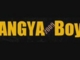 HANGYA-BOY 2009