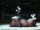 Funniest Horse Act Ever! Tommie Turvey and Pokerjoe!