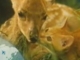 Bambi & Garfiel