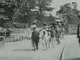(1895) - lumiere - promenade of ostriches paris botanical gardens