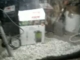 Videó0011
