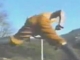 Shaolin Super Humans