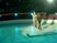 33994_836693_s_3