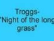 Troggs- Night of the long grass