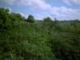 Amazonas HD Trailer 1080p
