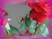 Capuccino-Egy-szál-vörös-rózsa