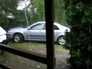 45804_785644_n_2