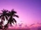 Relaxation Meditation Nature Sounds