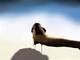 Salvador Dali - Sleep - animáció 2
