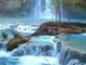 Havasupai Indian Waterfall Relaxation Video