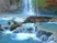 Havasupai Indian Waterfall Relaxation Video