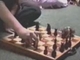 Sakk bajnok
