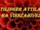 Tilinger Attila - Ha vissza hívsz