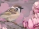 JO REGGELT.wmv