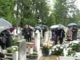 Il silencio_temetésen 2011