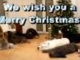 A doggy Christmas surprise - Karácsonyi kutyás meglepetés
