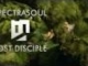 SpectraSoul - Lost Disciple VIDEO