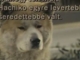 Tallózó   Videók   Hachiko - Egy hűséges kutya története a Netlogon