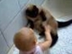 Baby Nerd harassing the cat