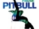 Pitbull - Pause (Audio)