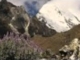 Relax-Medwyn Goodall-Andes