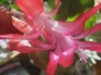 88542_921793_n_2