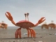 De Lijn - Crabs