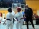 Kyokushin Karate Európa kupa 2011 november 6.