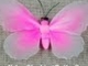 Handmade DIY Nylon Stocking Butterfly Showcase - From New Sheer Creations