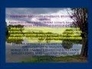 99463_503604_n_1