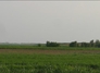 99815_876026_n_2